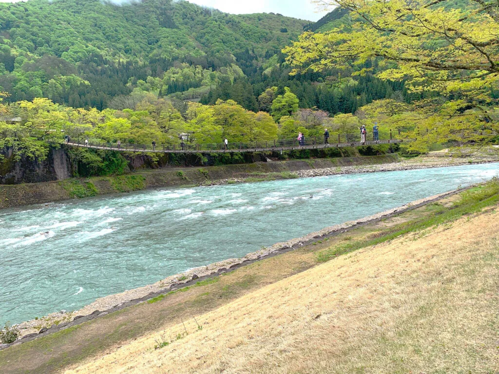 白川郷 であい橋付近からの庄川(上流側)