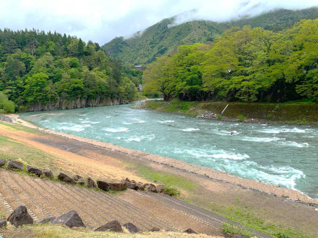 白川郷 であい橋付近からの庄川(下流側)