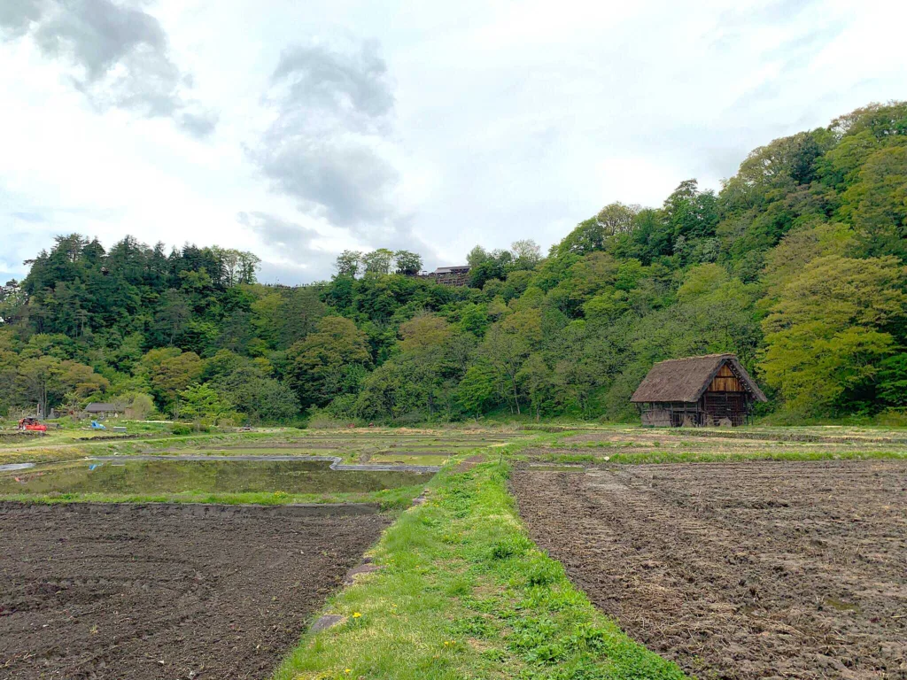 白川郷 展望台の真下から