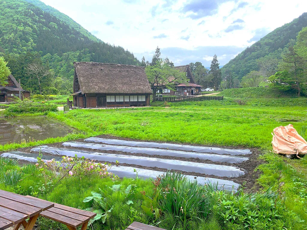 五箇山　菅沼集落