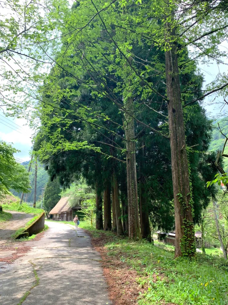 五箇山・菅沼集落 合掌の里がある側のエリア