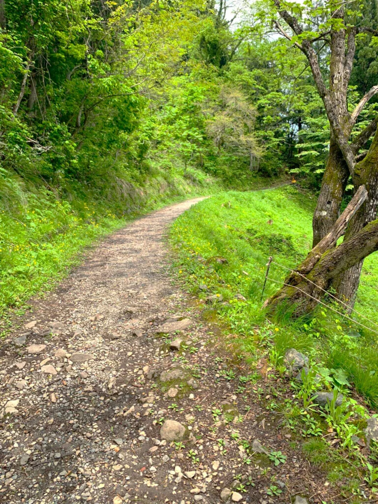 五箇山・相倉集落 全景スポットへの道のり(3分じゃ厳しいかも…)