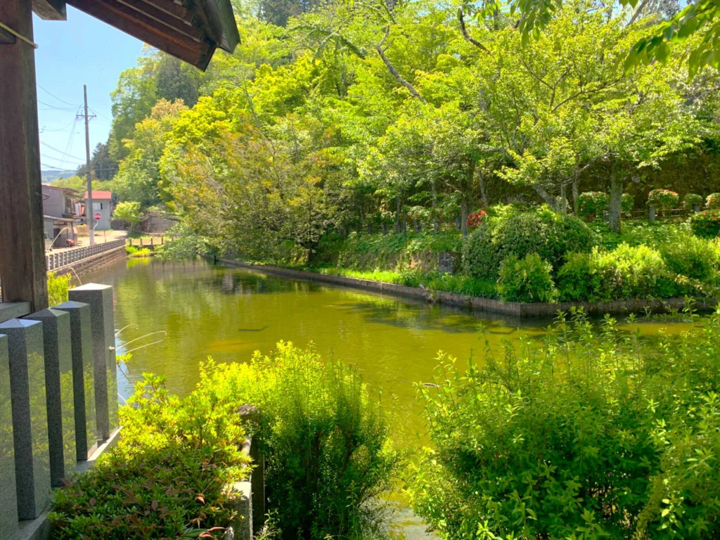 高山　飛騨護国神社付近(高山城の堀？)