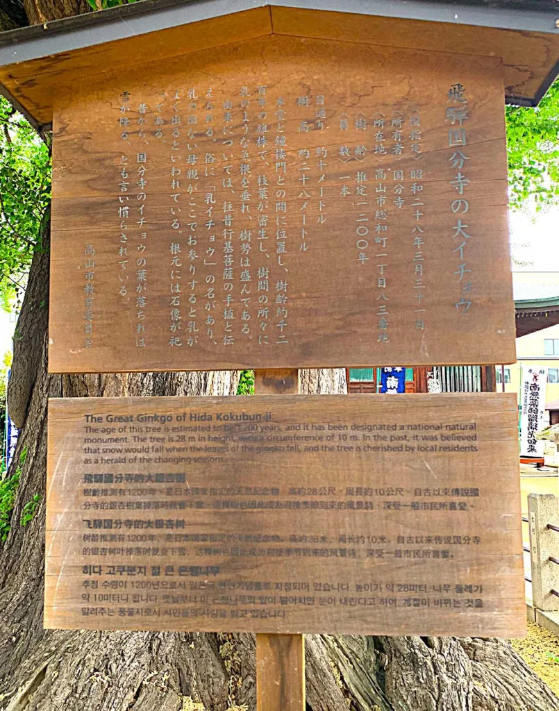 高山　醫王山飛騨国分寺