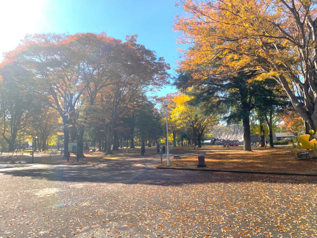 茨城県立歴史館の公園