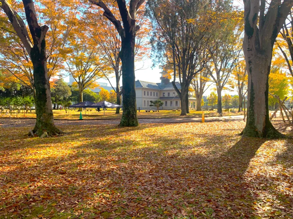 茨城県立歴史館の公園