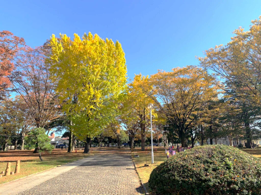 茨城県立歴史館の公園