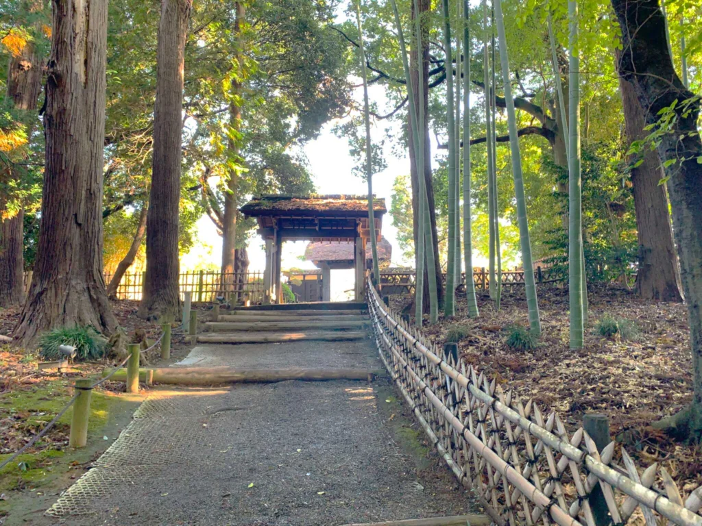 偕楽園 一の木戸を潜った先の孟宗竹林(陰の世界へ…)