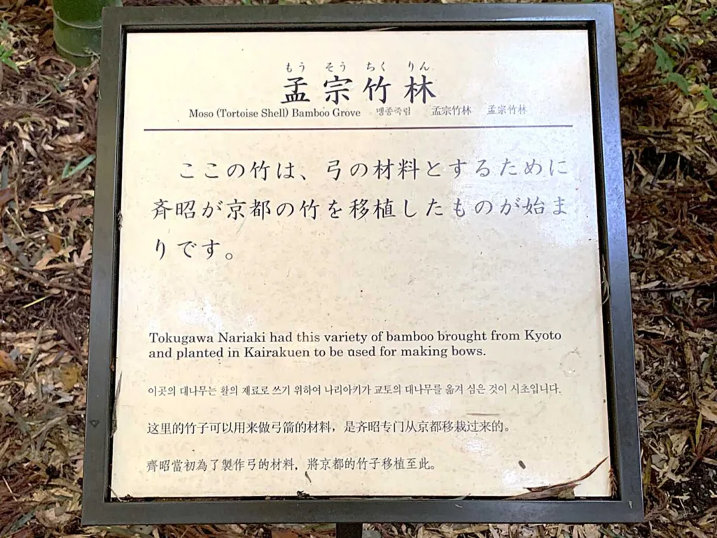偕楽園 孟宗竹林(陰の世界へ…)