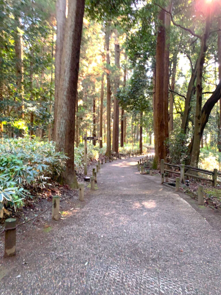 偕楽園 森の中・陰の世界