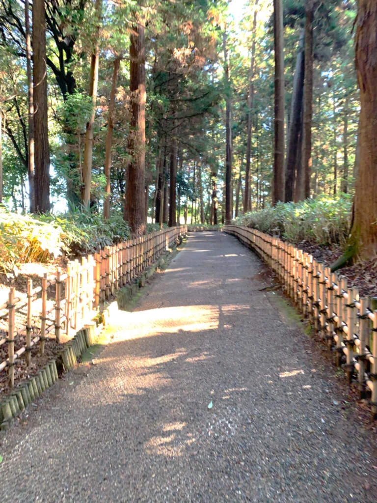 偕楽園 森の中・陰の世界