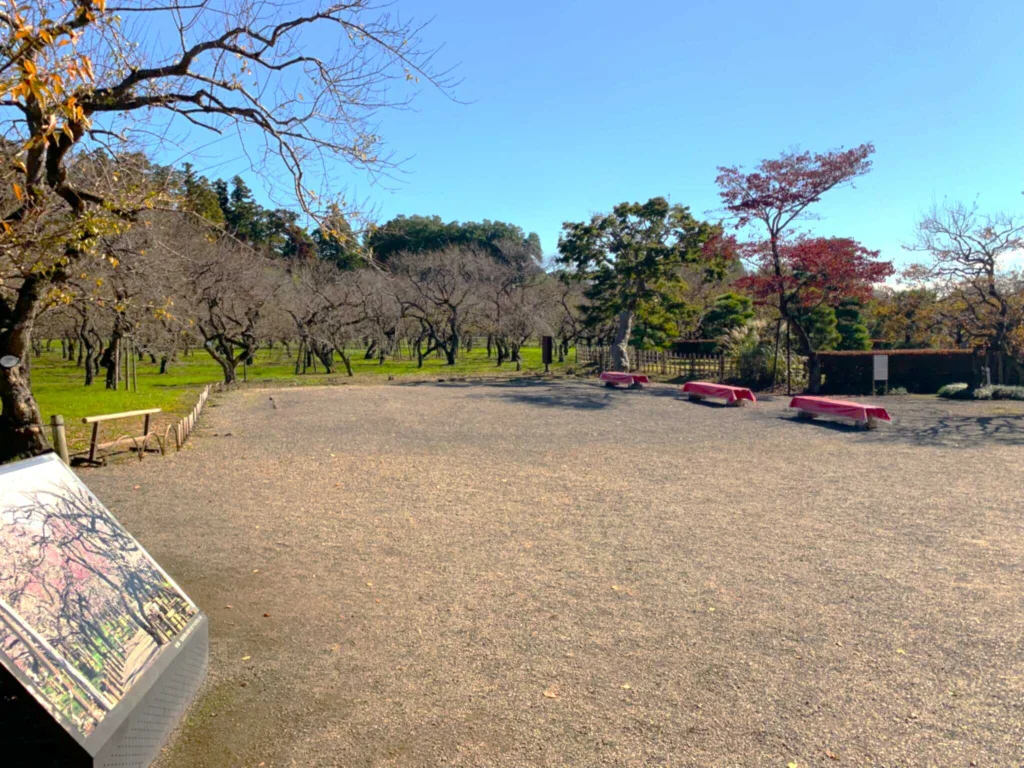 水戸偕楽園 梅林