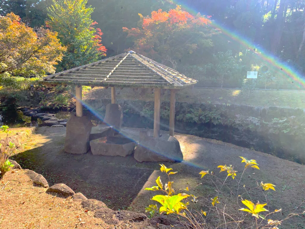 水戸偕楽園南のもみじ谷