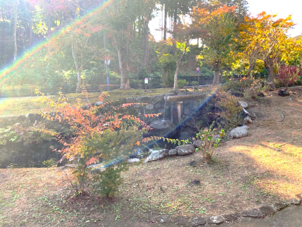 水戸偕楽園南のもみじ谷