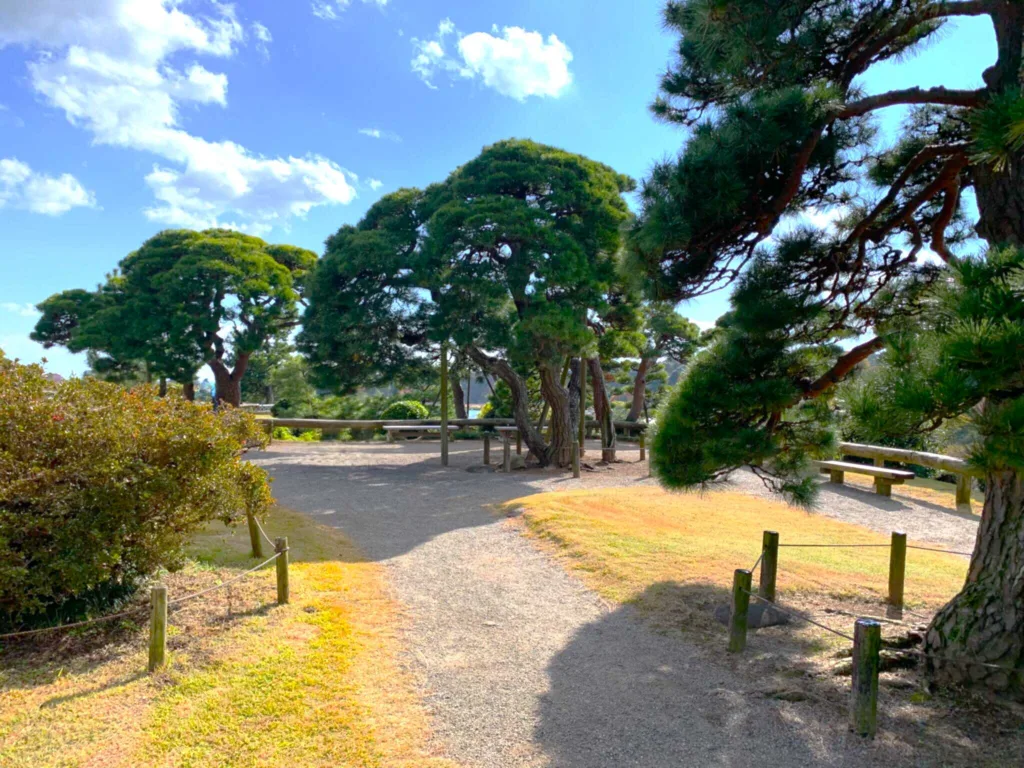 水戸偕楽園 見晴広場付近(陽の世界)