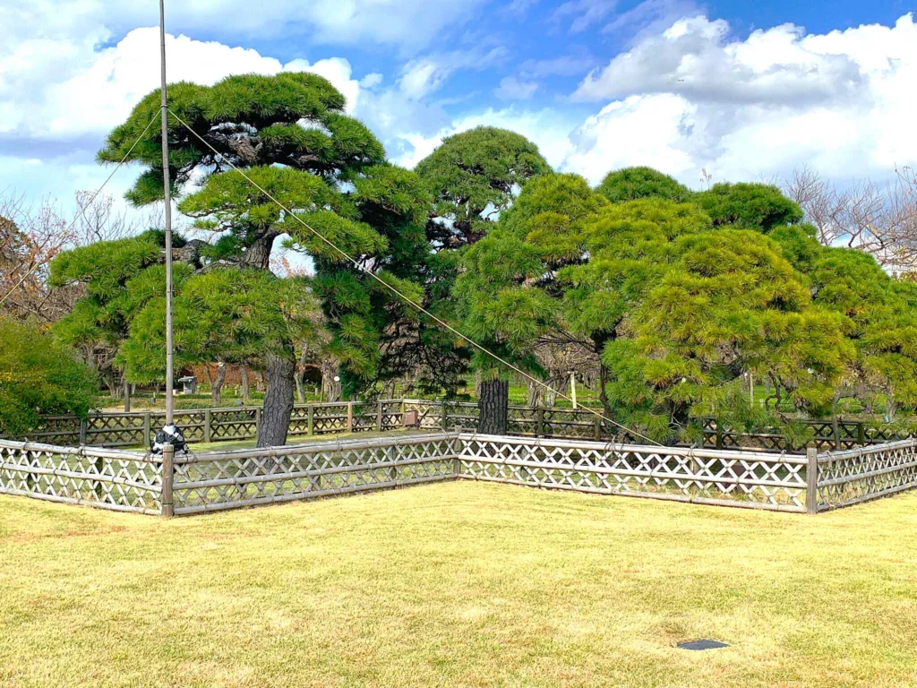 水戸偕楽園 見晴広場付近(陽の世界)