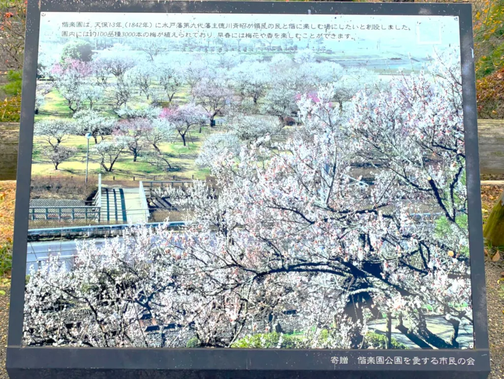 水戸偕楽園 見晴広場南側から千波湖方面の景色(陽の世界)