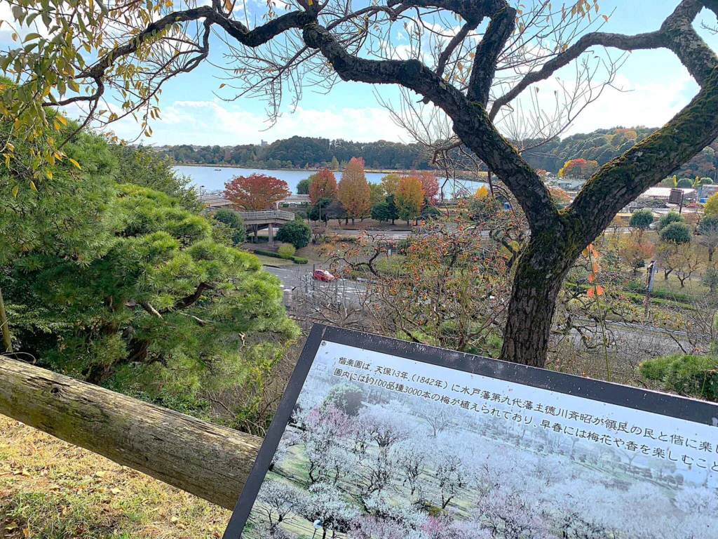 水戸偕楽園 見晴広場南側から千波湖方面の景色(陽の世界)