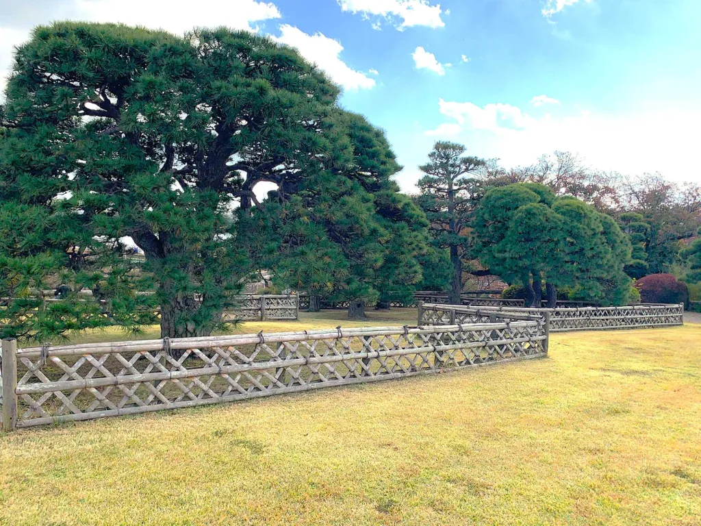 水戸偕楽園 見晴広場付近(陽の世界)