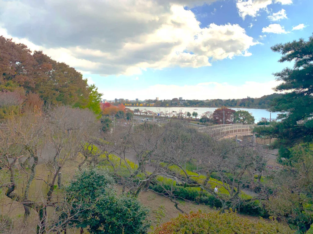 水戸偕楽園 見晴広場南側から千波湖方面の景色(陽の世界)