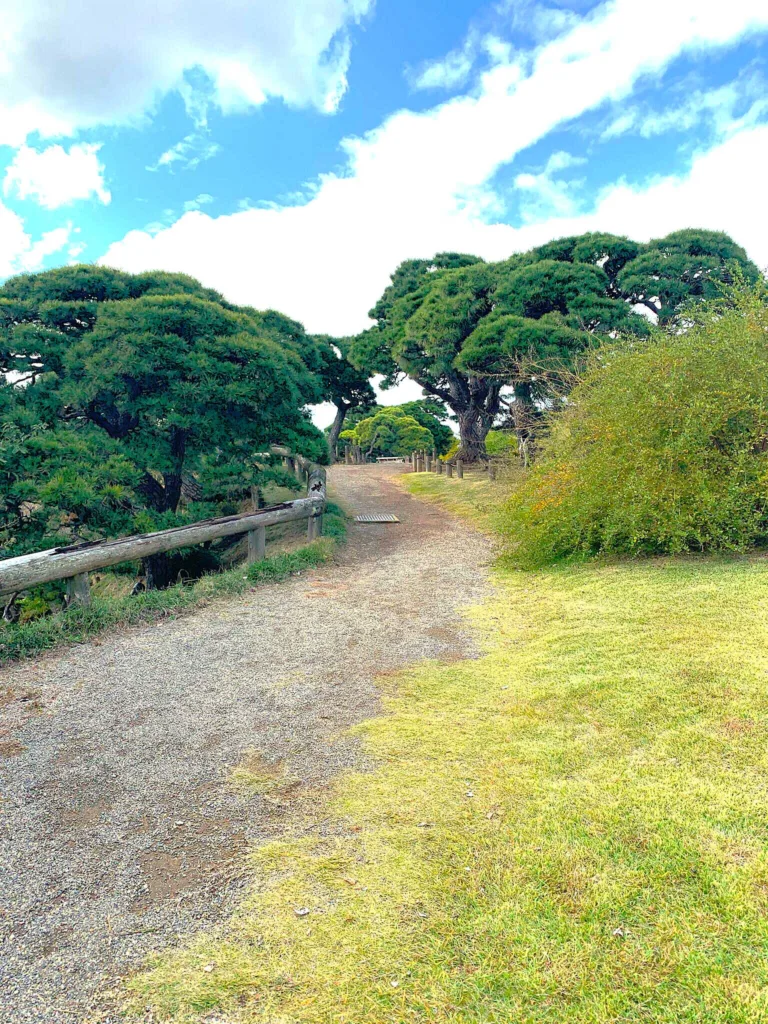 水戸偕楽園 見晴広場付近(陽の世界)