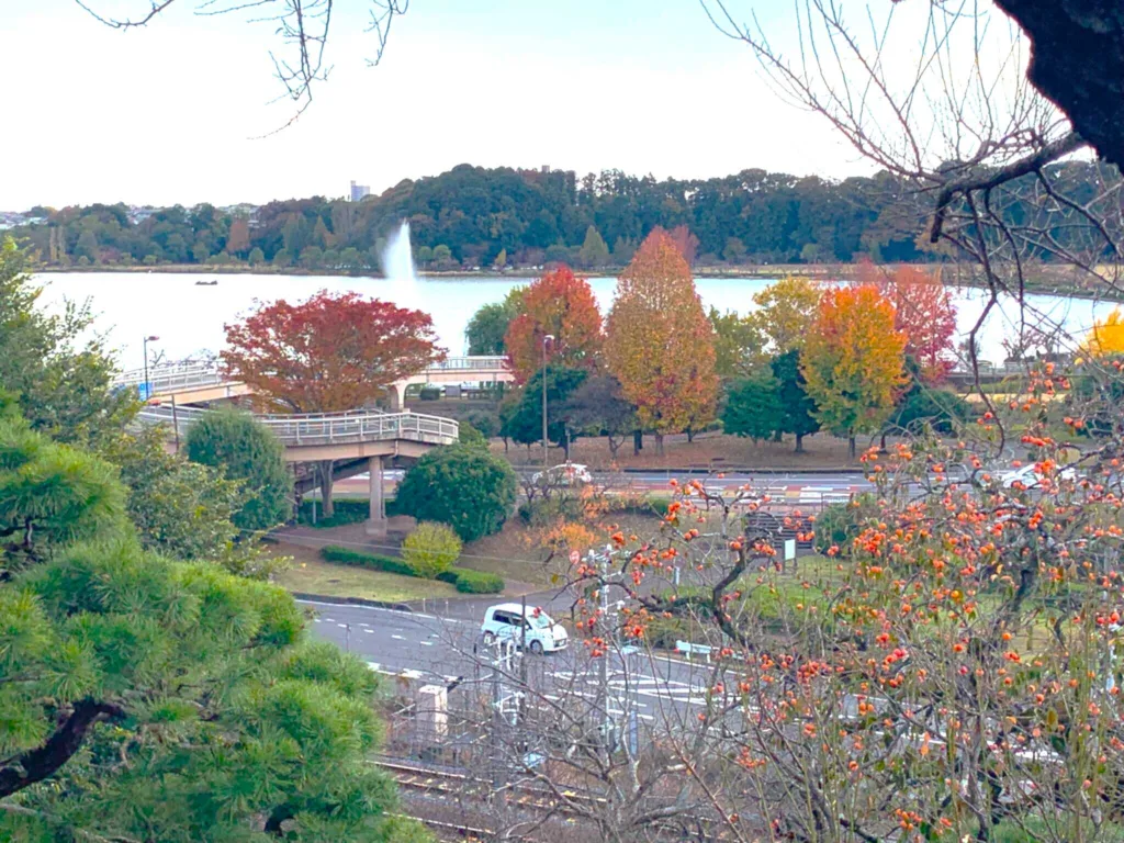 水戸偕楽園 見晴広場南側から千波湖方面の景色(陽の世界)