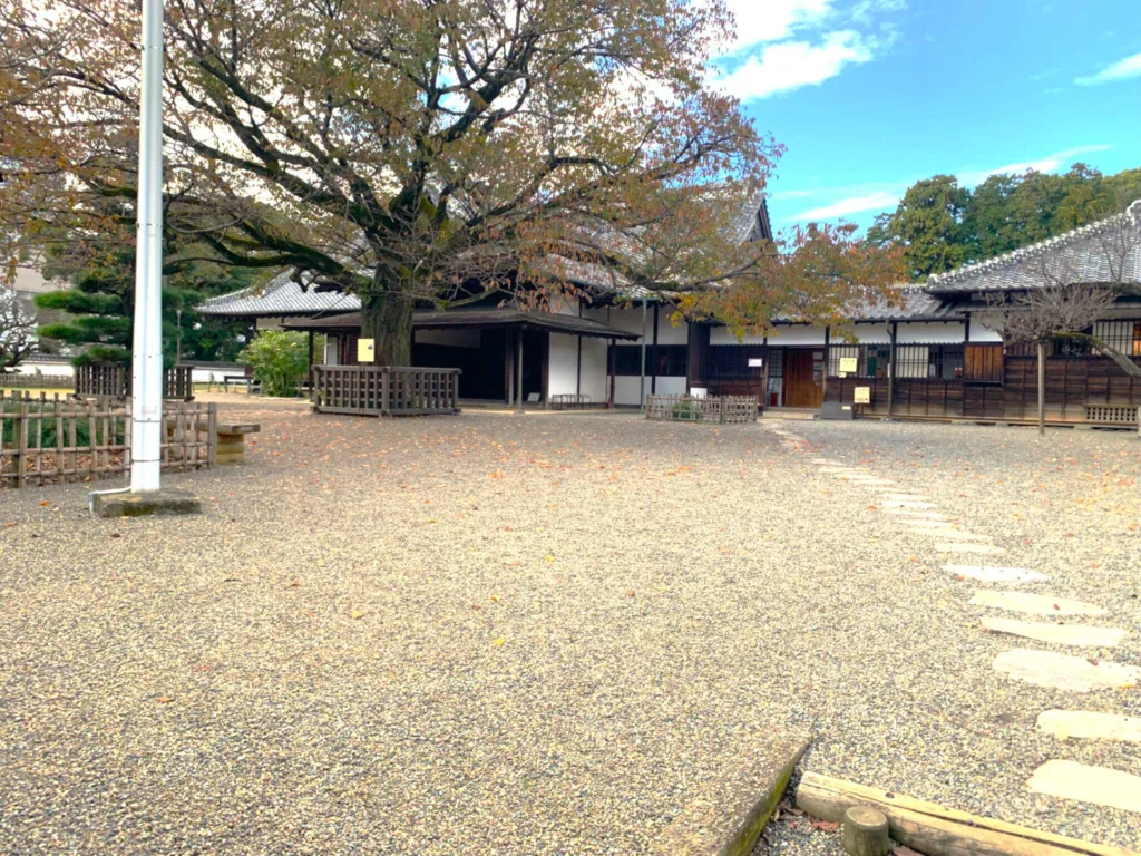 水戸城 弘道館 正庁と左近桜