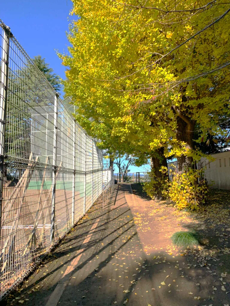 水戸城 二の丸二中見晴し台へ(中学校の脇の園路を進みます…)