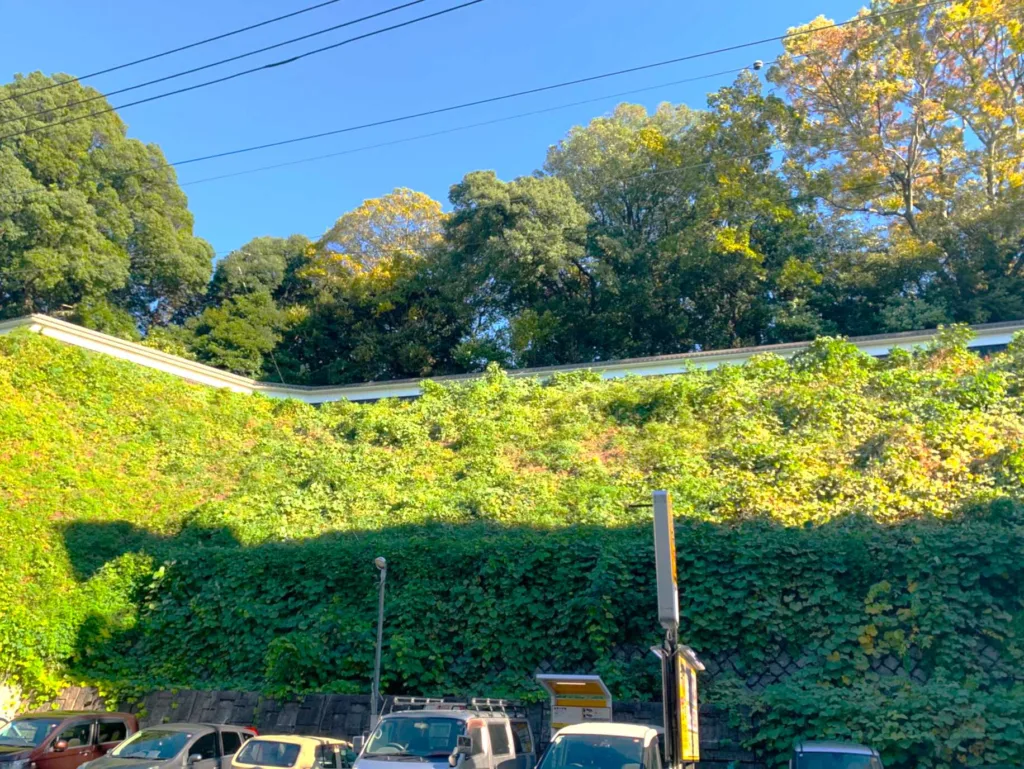 水戸城 二の丸の塀(232号線方面から)