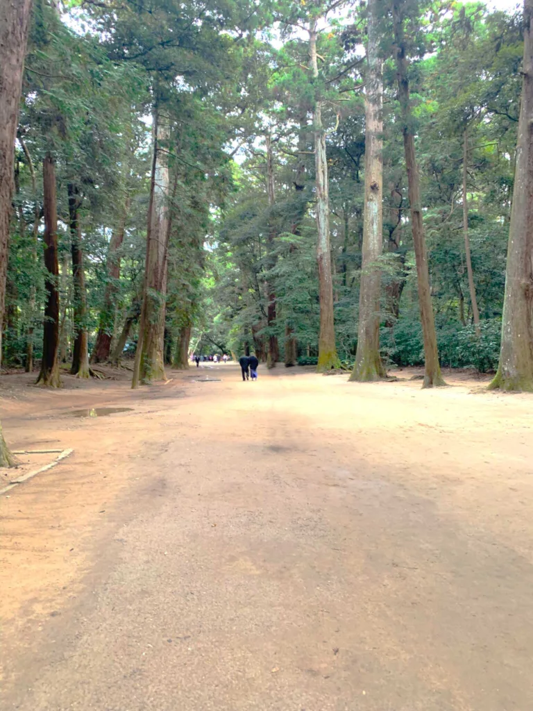 鹿島神宮 奥参道