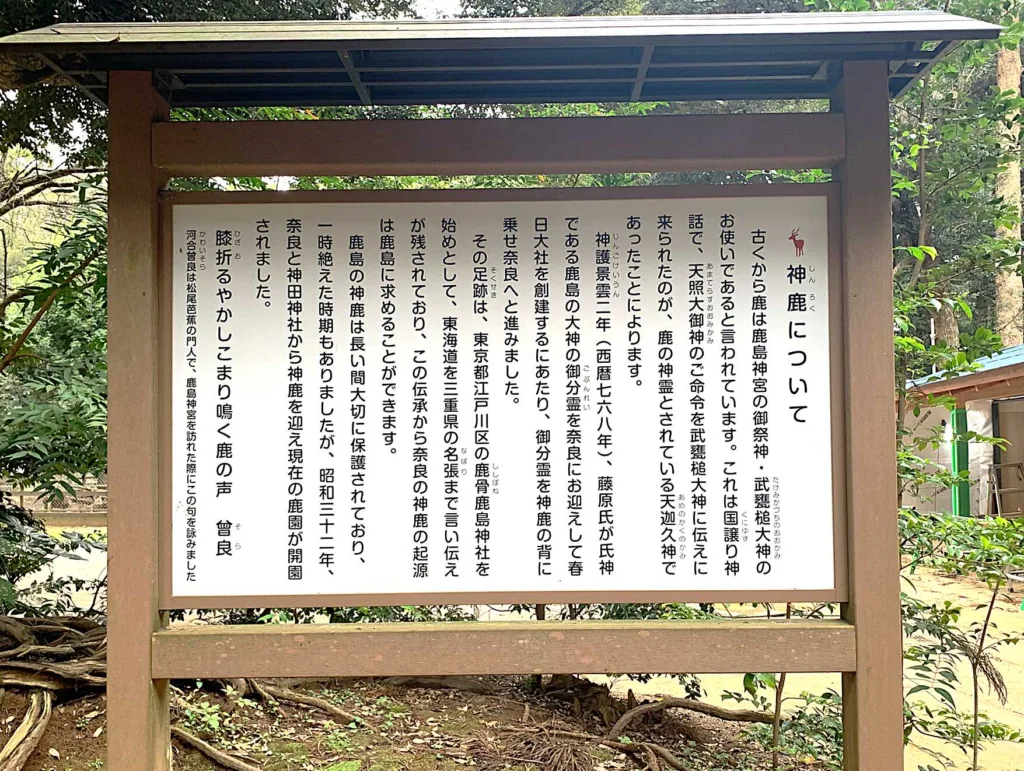 鹿島神宮 鹿園
