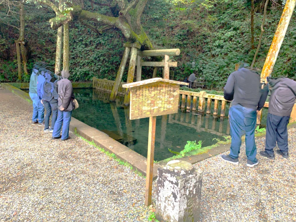 鹿島神宮 御手洗池