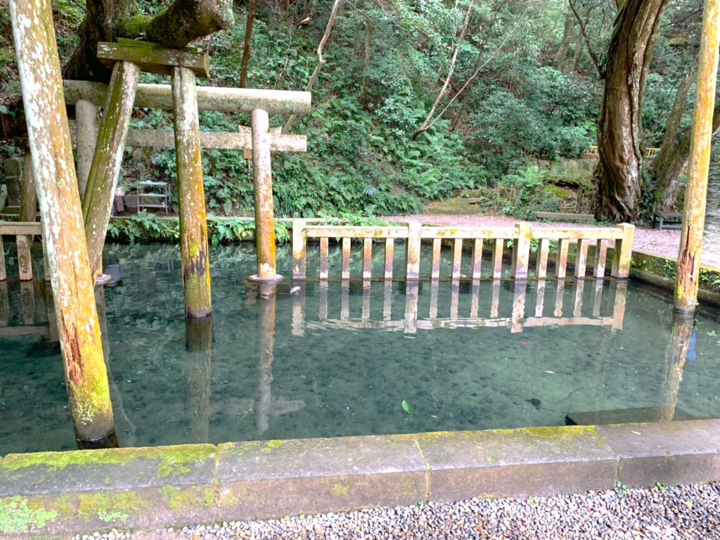 鹿島神宮 御手洗池
