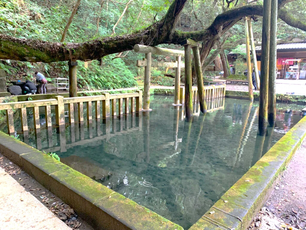 鹿島神宮 御手洗池