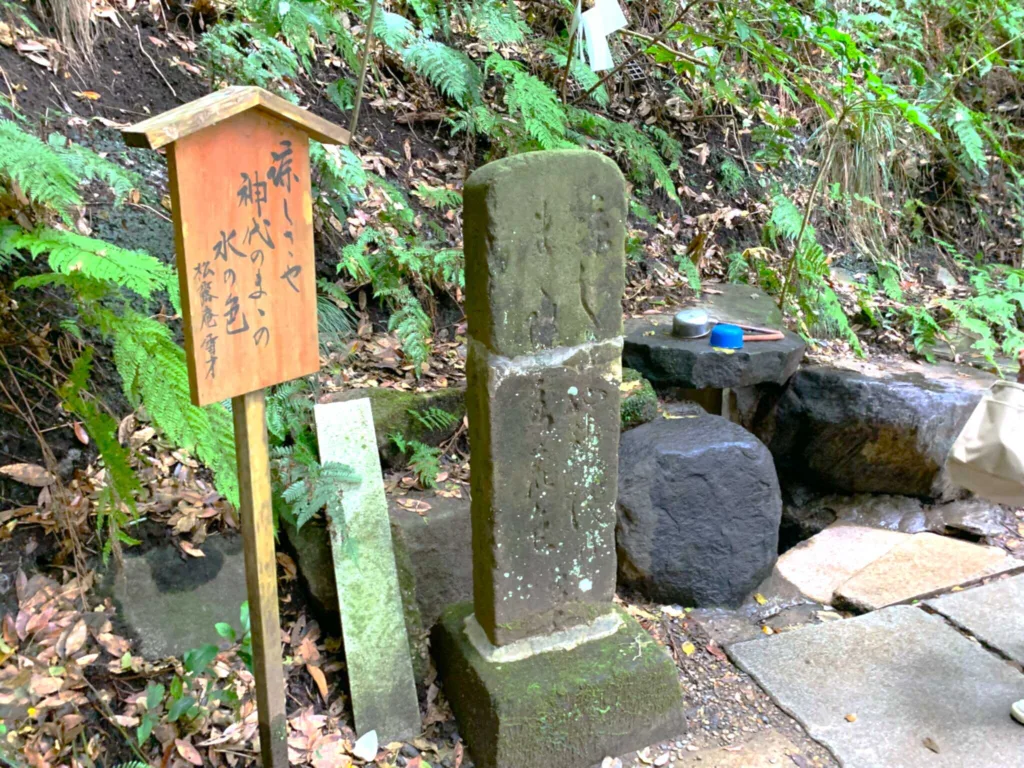 鹿島神宮 御手洗池の湧き水