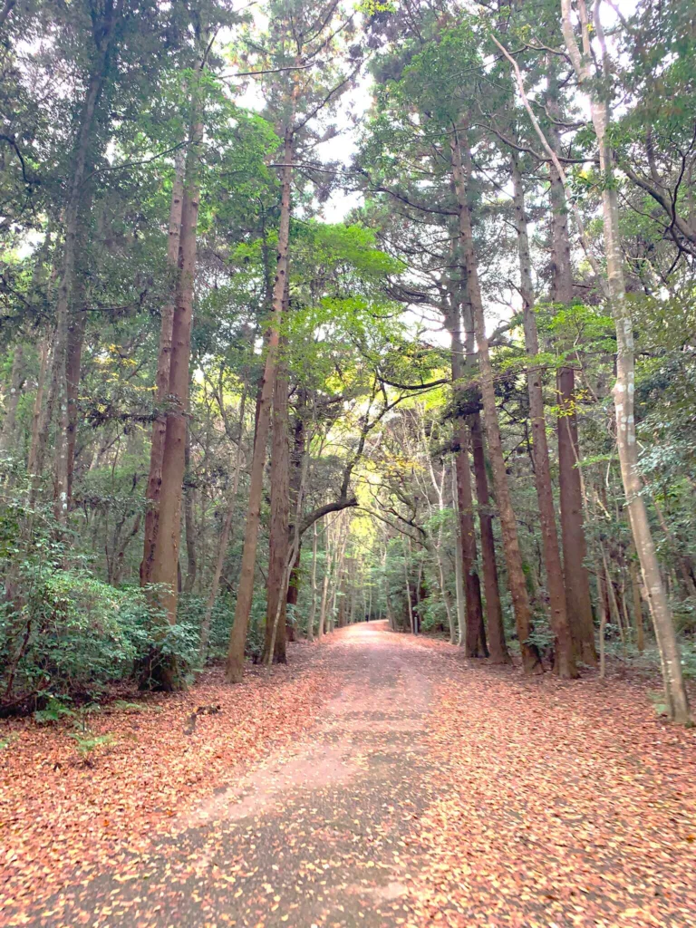 鹿島神宮 武甕槌石像~駐車場(奥参道の1本南側を平行に走る道)