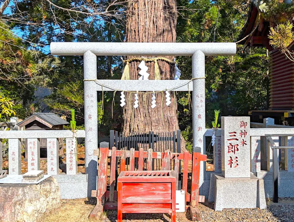 大杉神社 三郎杉