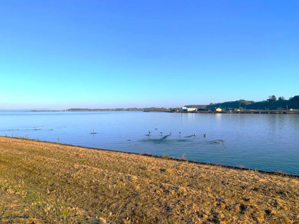 割烹旅館霞ヶ浦　朝の周辺散策