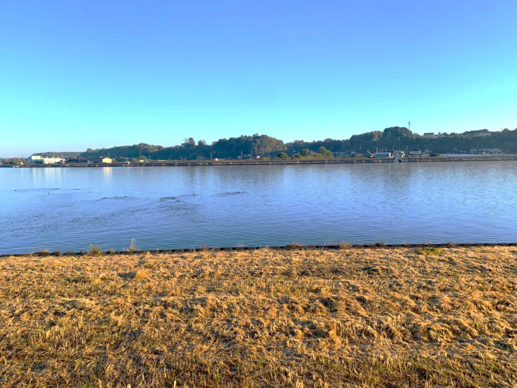 割烹旅館霞ヶ浦　朝の周辺散策
