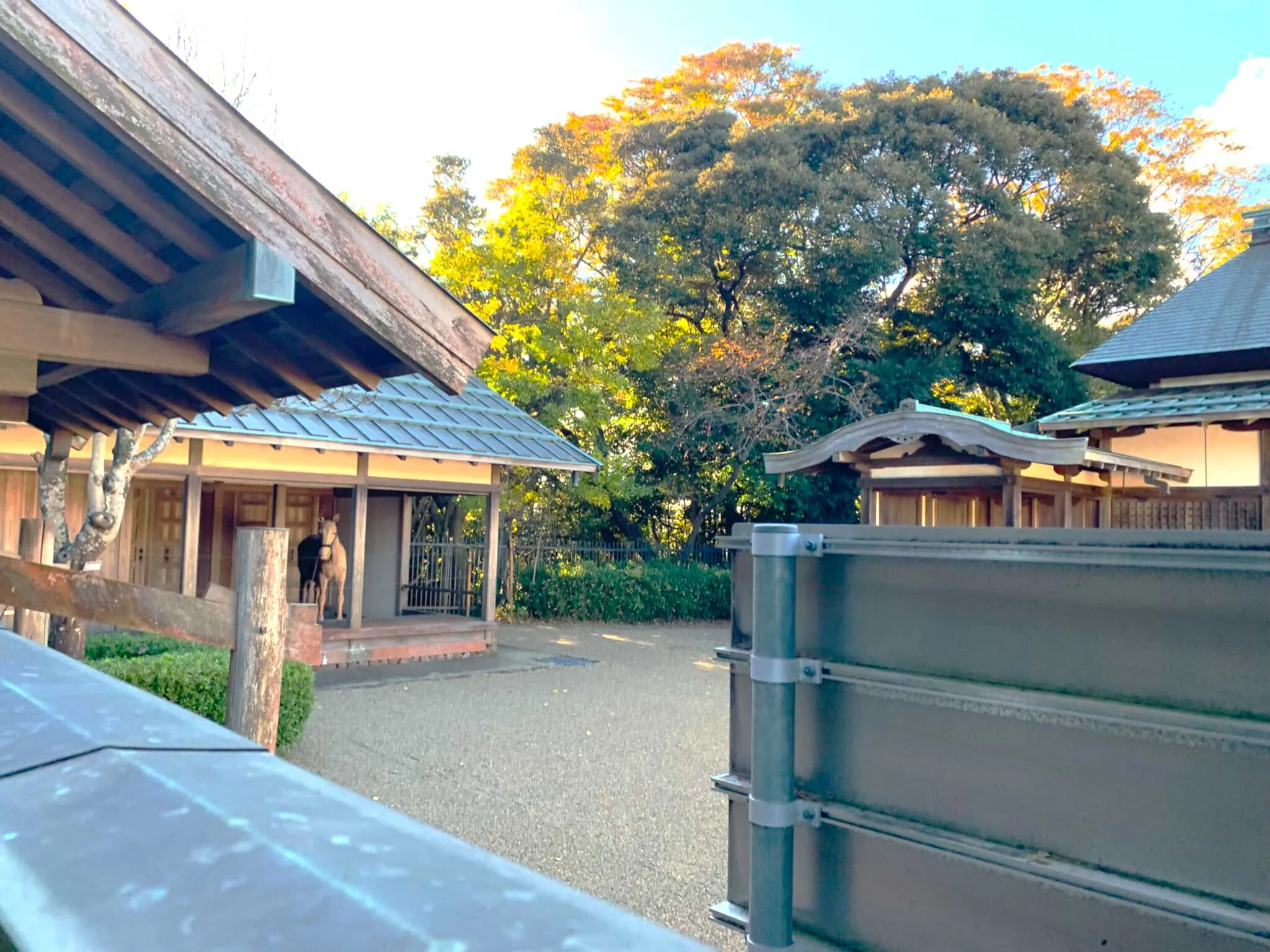 武田氏館
