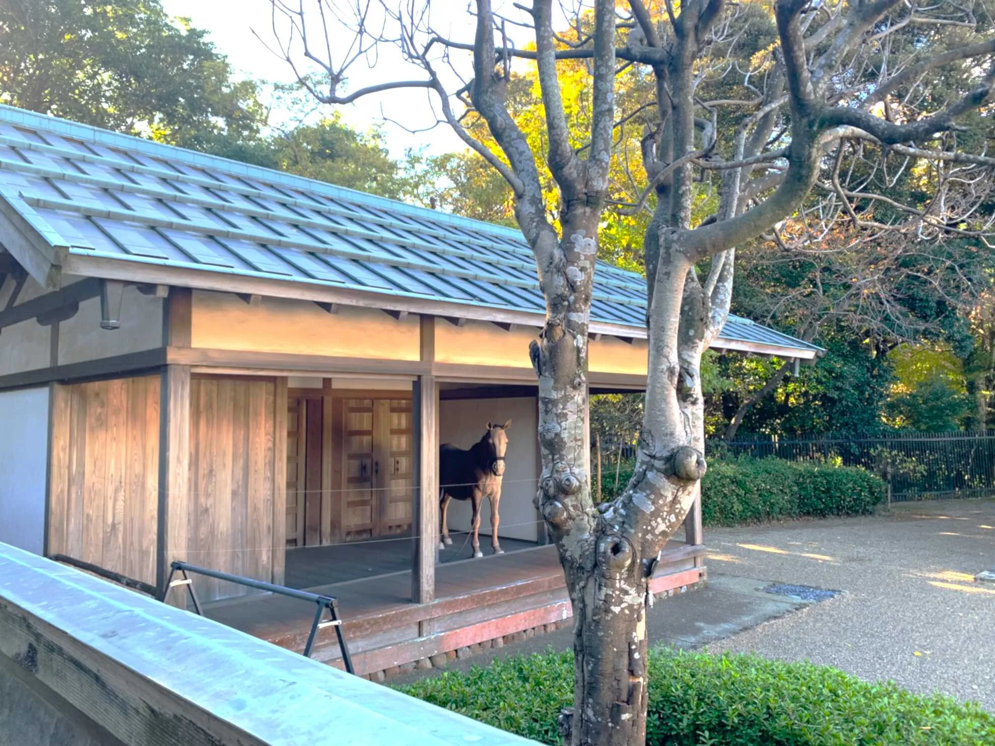 武田氏館