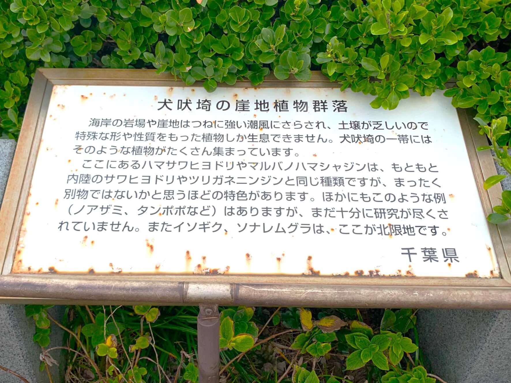 犬吠埼