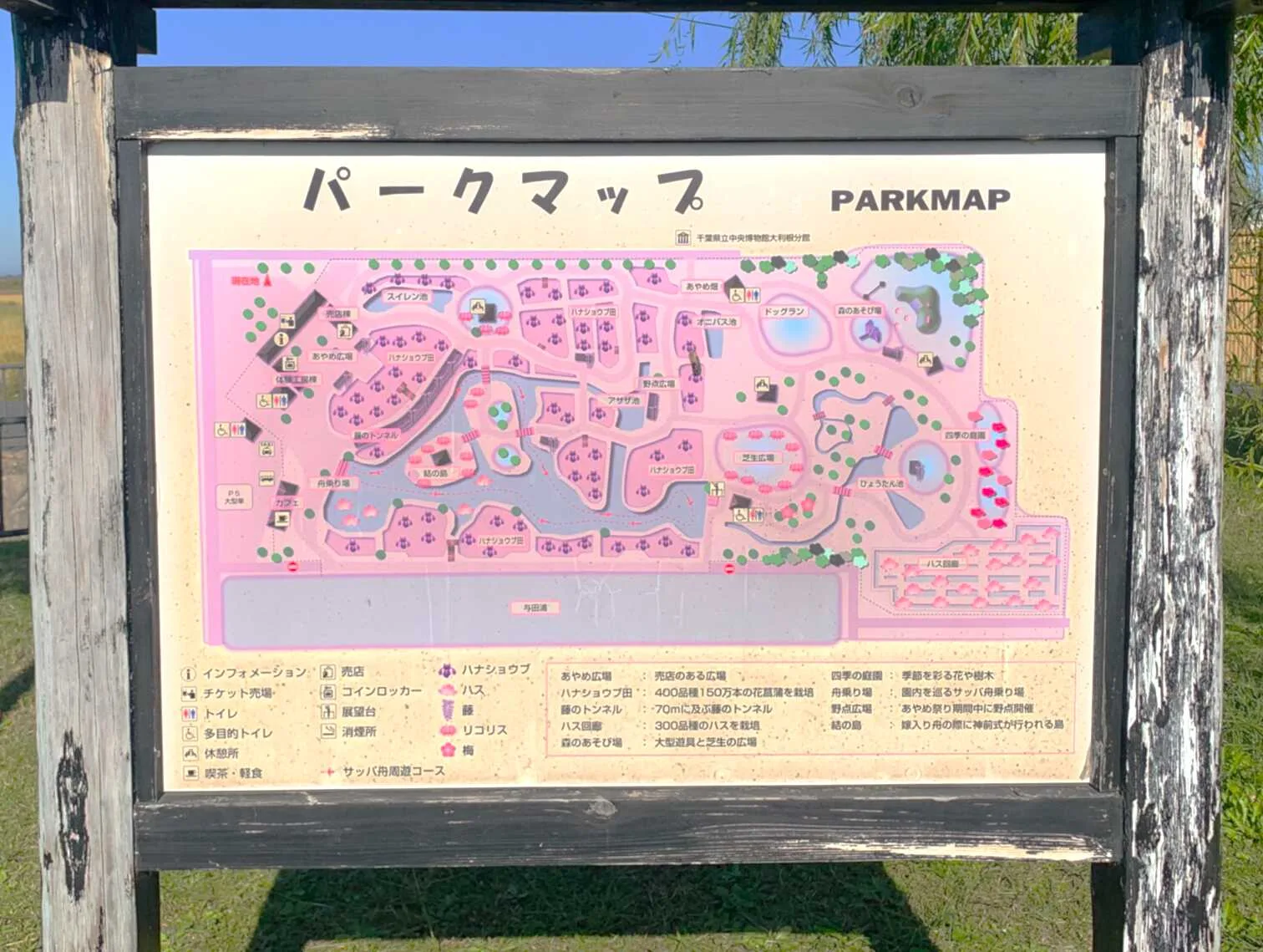 水郷佐原あやめパーク