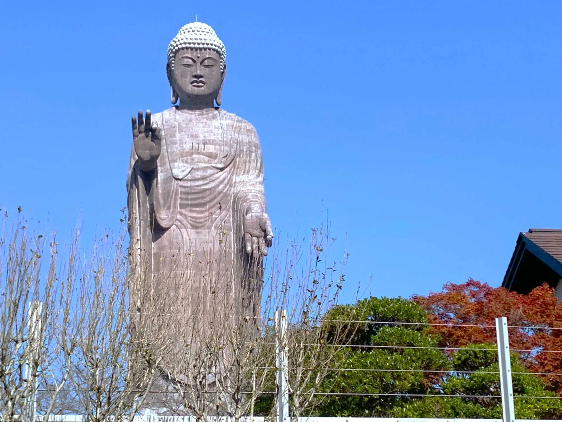 牛久大仏