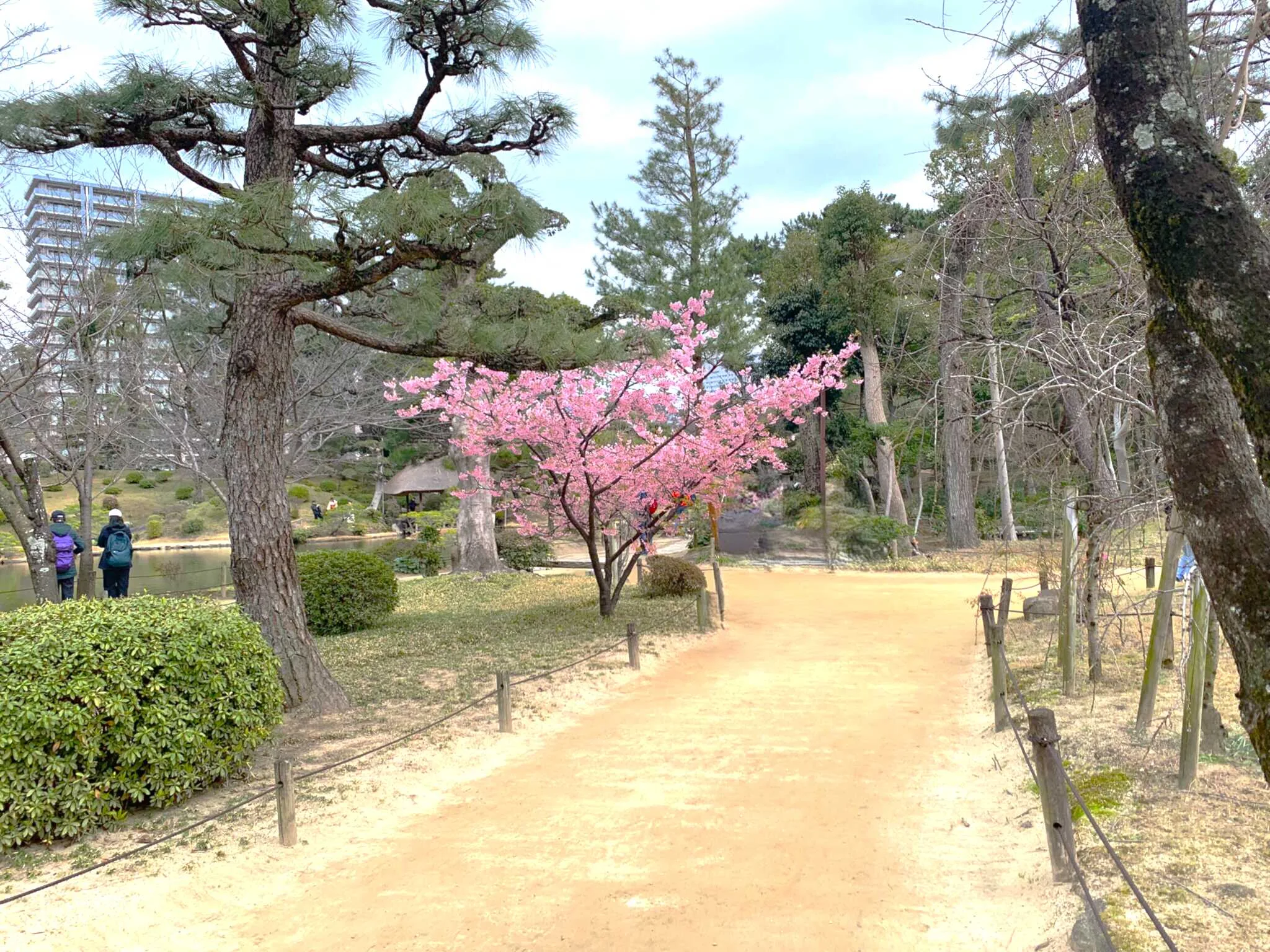 広島 縮景園 清風館から東へ