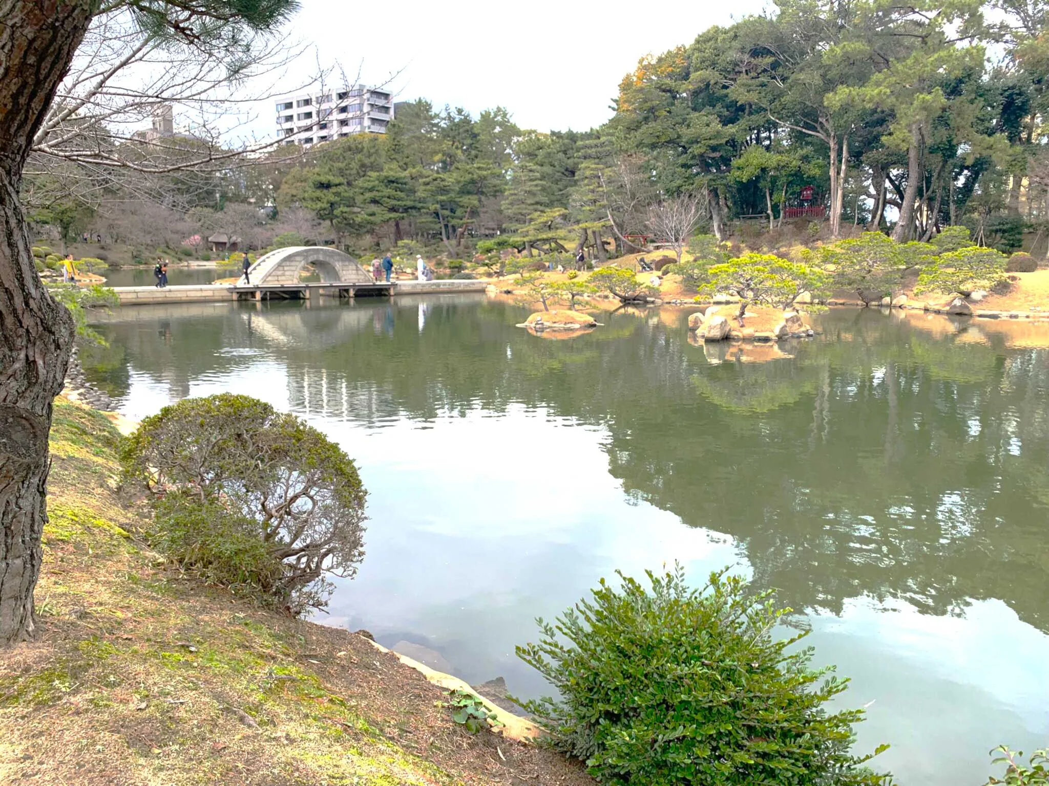 広島 縮景園 東側の池泉(濯纓池)の景色