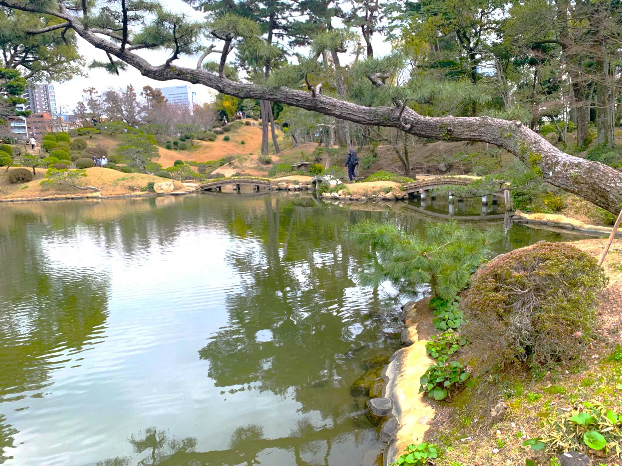 広島 縮景園 東側の池泉(濯纓池)の景色