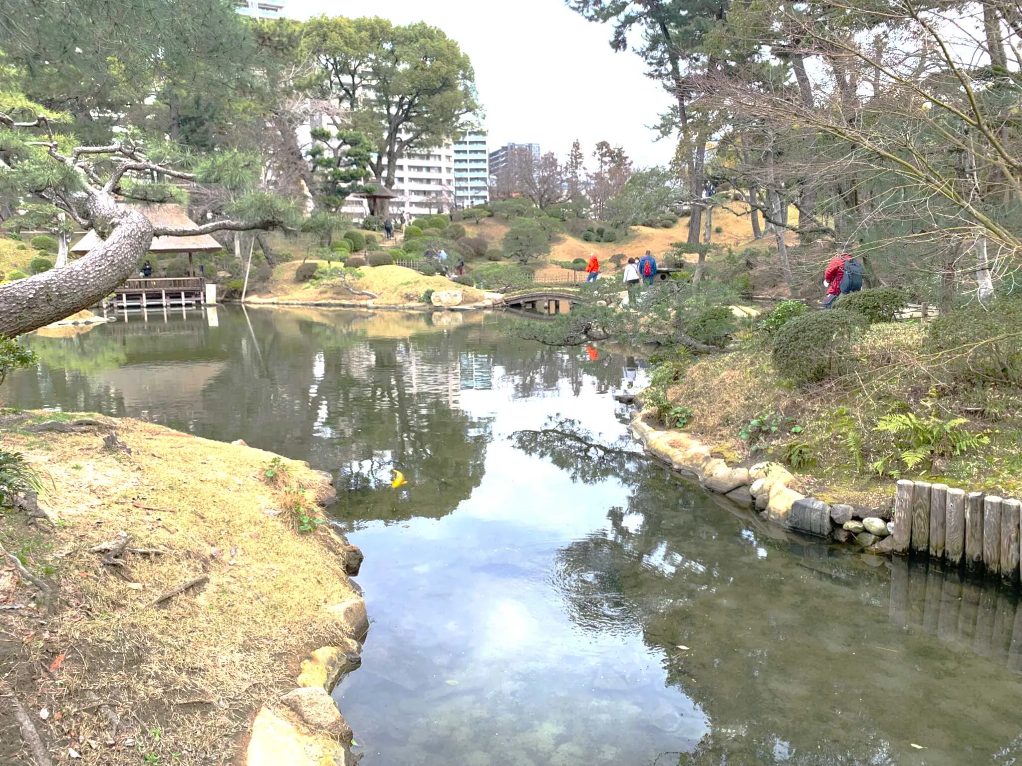 広島 縮景園 東側の池泉(濯纓池)の景色