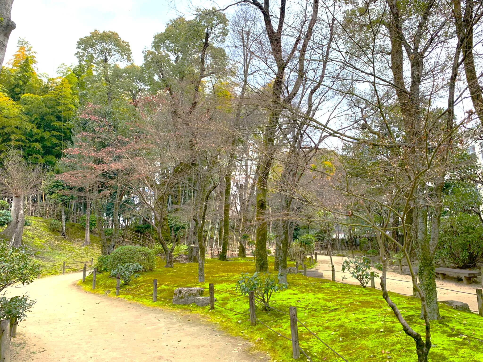 広島 縮景園 東側