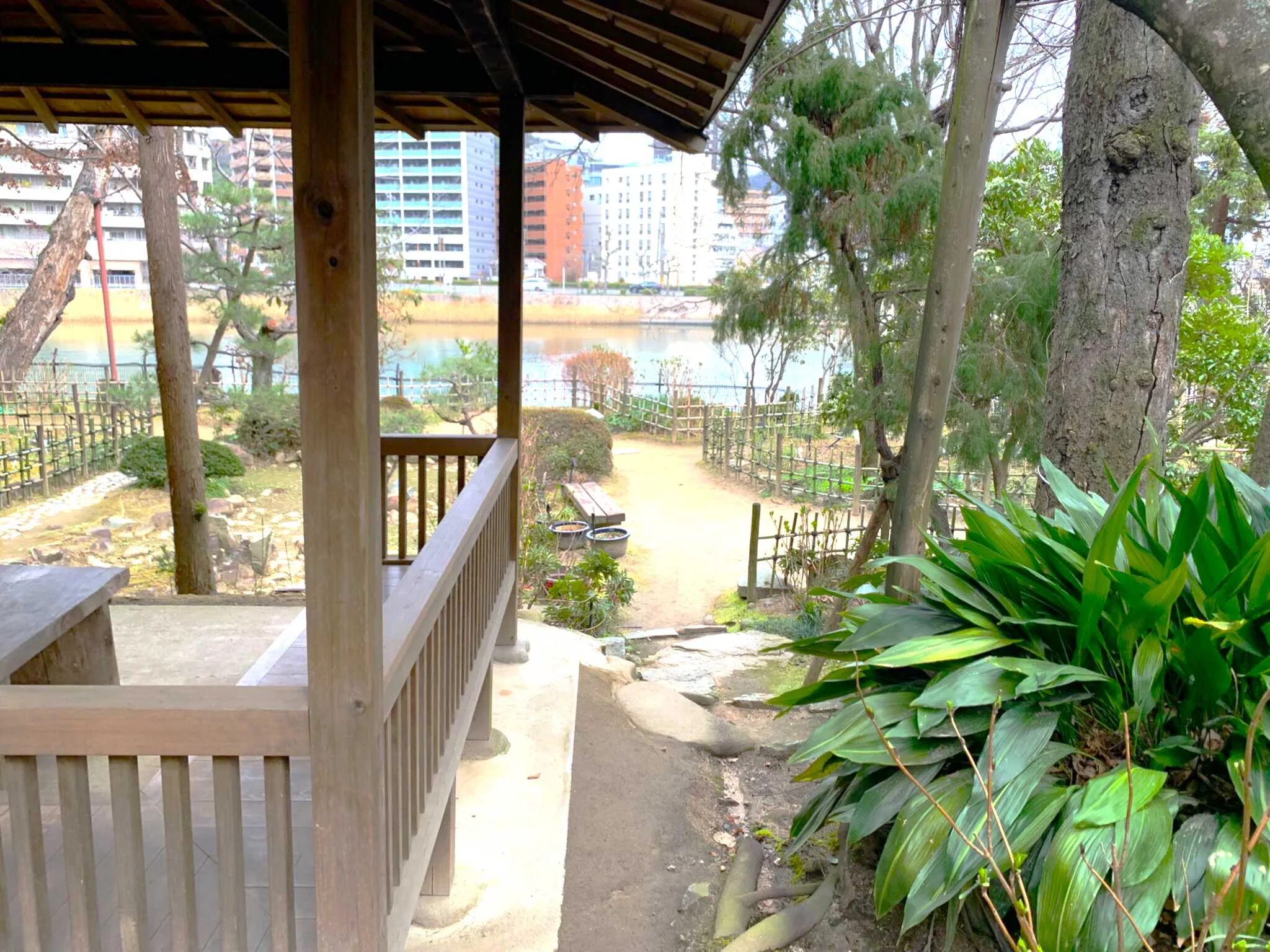 広島 縮景園 薬草園付近